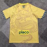Santos Special Edition  Fans 1:1 Quality Soccer Jersey 25/26