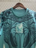 Mexico Green  Fans  1:1 Quality  Training Jersey 24/25
