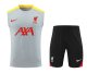 Liverpool  Dark  Gray  1:1 Quality Training Vest（A-Set）24/25