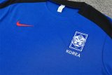 Korea Blue 1:1 Quality Training  Jersey（A-Set）24/25
