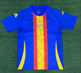 Spain Training  Clothing  1:1 Quality Soccer Jersey 24/25