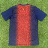 PSG Paris Special Edition  Fans 1:1 Quality Soccer Jersey 25/26