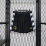 Argentina Back Player 1:1 Quality Shorts 25/26