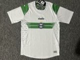 Coritiba  Home  Fans 1:1 Quality Soccer Jersey 24/25