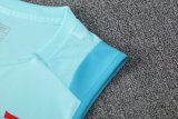 Flamengo Blue 1:1 Quality Training Vest（A-Set）25/26
