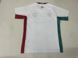 Fluminense  Away Fans 1:1 Quality Soccer Jersey 25/26