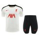 Liverpool  White 1:1 Quality Training Jersey（A-Set）25/26