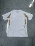 Al-Nassr FC Third Fans Version 1:1 Quality Soccer Jersey 24/25