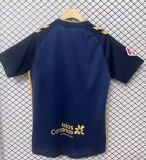 Tenerife  Away Fans 1:1 Quality Soccer Jersey 24/25