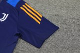 Juventus  Blue 1:1 Quality Training Jersey（A-Set）24/25