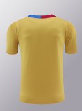 Barcelona Yellow 1:1 Quality Training Jersey（A-Set）24/25
