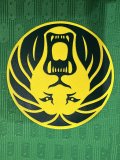 Cameroon Home Player  1:1 Quality Soccer Jersey 24/25