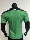 Cote d'Ivoire 3-Stars Player 1:1 Quality Soccer Jersey 24/25