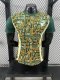 Cote d'Ivoire Special Edition Player 1:1 Quality Soccer Jersey 24/25