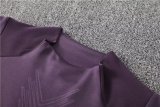 Arsenal Training Purple Player 1:1 Quality Training Jersey 24/25