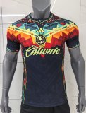Club  America Special Edition  Fans 1:1 Quality Soccer Jersey 25/26