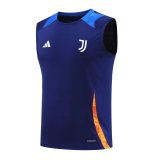Juventus Blue 1:1 Quality Training Vest（A-Set）24/25