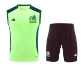Mexico  Green And Burgundy 1:1 Quality Training Vest（A-Set）24/25