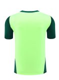 Mexico Green  And Burgundy  1:1 Quality Training Jersey（A-Set）24/25