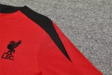 24/25  Liverpool Lake Red Version Player 1:1 Quality Training Jersey