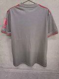 Bayern Munich 125th Anniversary Edition Grey Fans 1:1 Quality Soccer Jersey 25/26