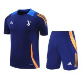Juventus  Blue 1:1 Quality Training Jersey（A-Set）24/25