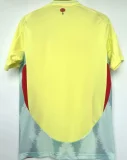 Spain Away Fans 1:1 Quality Soccer Jersey 24/25
