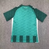 Werder Bremen Home  Fans 1:1 Quality Soccer Jersey（云达不来梅）24/25