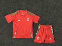 Wales Home Kids Kits 1:1 Soccer Jersey 24/25 Wales Home Kids Kits 1:1 Soccer Jersey 24/25