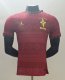 Brazil  Special  Edition  Red Player  1:1 Quality Soccer Jersey 25/26