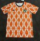 Cote d'Ivoire Stripe Special Edition Fans 1:1 Quality Soccer Jersey 24/25
