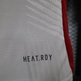 Bayern Munich Special Edition Player 1:1  Quality Soccer Jersey 24/25