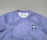 Brazil  Special Edition Fans 1:1 Quality Soccer Jersey 25/26