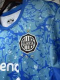 Olimpia Asuncion Third Fans 1:1 Quality Soccer Jersey 25/26奥林匹亚（亚松森）