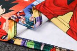 Japan Colorful Dragon Ball Training  1:1 Quality Training Jersey 24/25