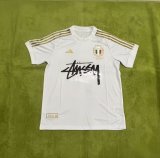 Italy Special Edition Fans 1:1 Quality Soccer Jersey 25/26