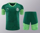 Palmeiras Green 1:1 Quality Training Jersey（A-Set）24/25