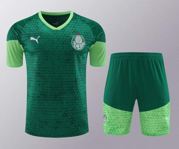 Palmeiras Green 1:1 Quality Training Jersey（A-Set）24/25