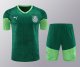 Palmeiras Green 1:1 Quality Training Jersey（A-Set）24/25