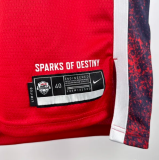 Team USA JAMES #6 Red 1:1 Quality NBA Jerseys 2024