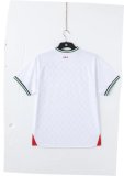 Palestine Home White Fans 1:1 Quality Soccer Jersey 24/25