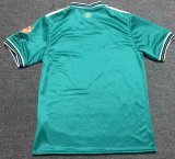 Aston Villa  Green Fans  1:1 Quality Soccer Jersey 24/25