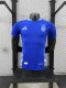 Argentina Away Player  1:1 Quality Soccer Jersey 24/25