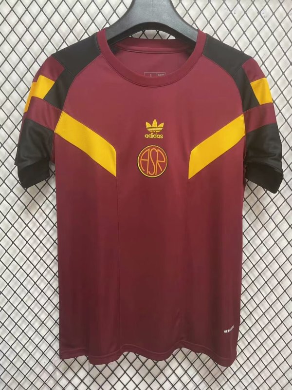 Roma Special Edition Fans 1:1 Quality Soccer Jersey 24/25