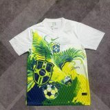 Brazil  Special Edition Fans 1:1 Quality Soccer Jersey 25/26