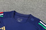 Italy Training Suit Blue 1:1 Quality Training Jersey 24/25
