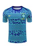 24/25  Brazil Blue 1:1 Quality Training Jersey（A-Set）
