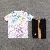 24/25  Real Madrid  White 1:1 Quality Training Vest（A-Set）