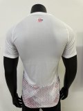 Lille OSC  Away Player 1:1 Quality Soccer Jersey 24/25