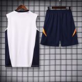 Real Madrid  White 1:1 Quality Training Vest（A-Set）24/25